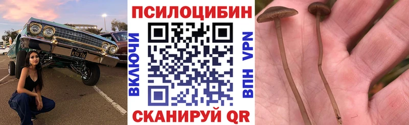 Галлюциногенные грибы прущие грибы  даркнет сайт  Заринск 