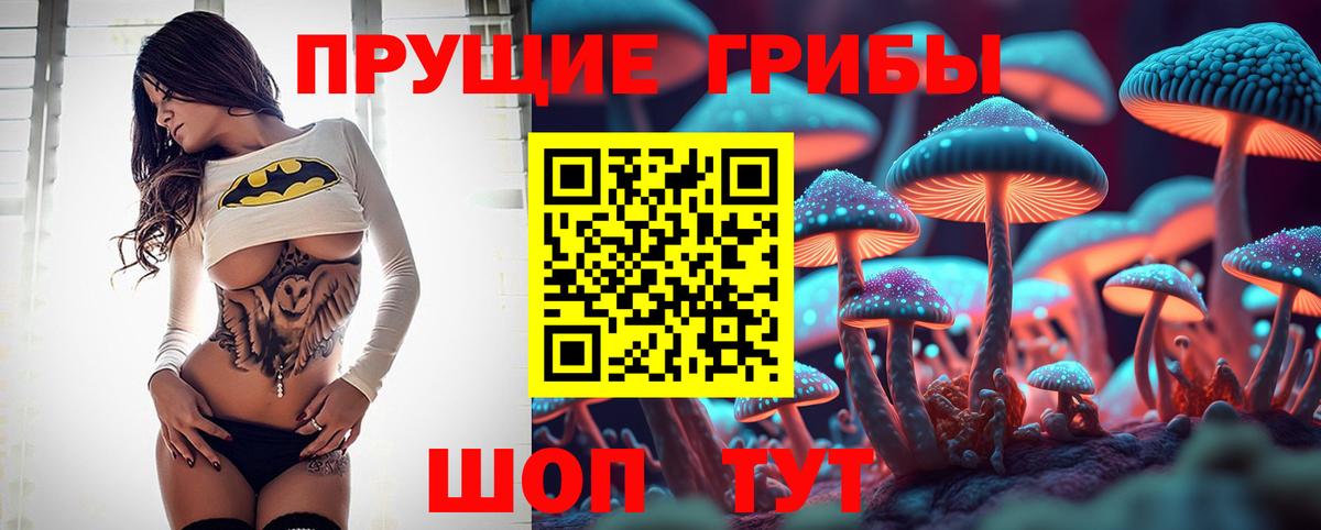 Заринск  Псилоцибиновые грибы Magic Shrooms  Вход с VPN  Псилоцибиновые грибы Psilocybe 