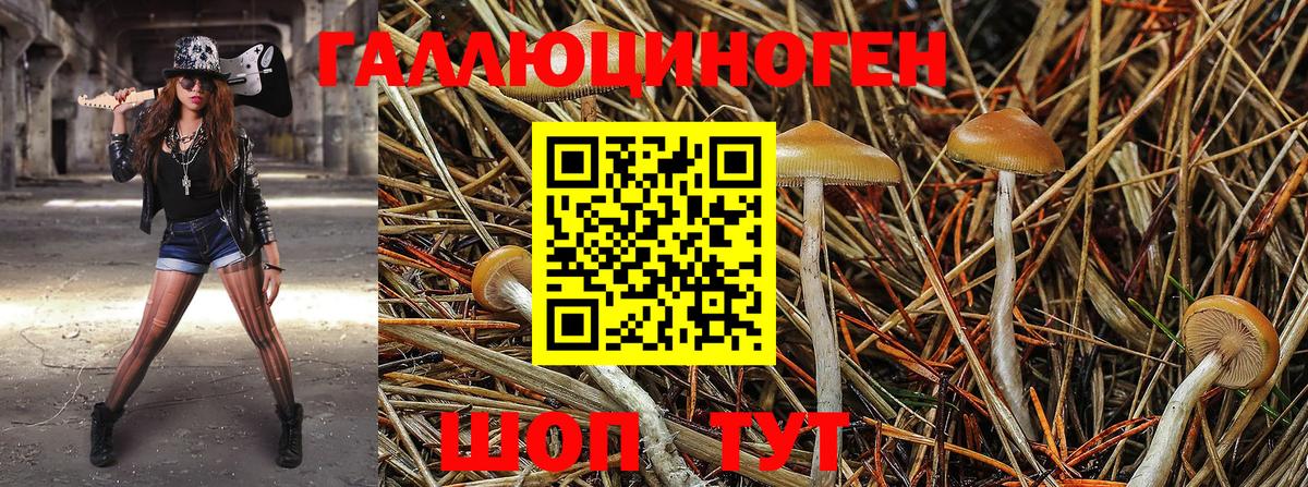 Галлюциногенные грибы GOLDEN TEACHER Заринск