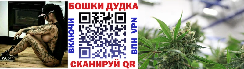 Конопля OG Kush  Заринск 